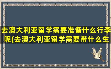 去澳大利亚留学需要准备什么行李呢(去澳大利亚留学需要带什么生活用品)