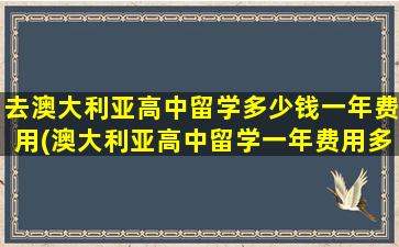 去澳大利亚高中留学多少钱一年费用(澳大利亚高中留学一年费用多少)