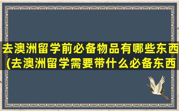 去澳洲留学前必备物品有哪些东西(去澳洲留学需要带什么必备东西)