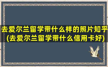 去爱尔兰留学带什么样的照片知乎(去爱尔兰留学带什么信用卡好)