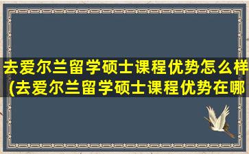 去爱尔兰留学硕士课程优势怎么样(去爱尔兰留学硕士课程优势在哪)