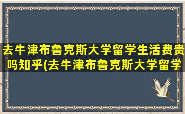 去牛津布鲁克斯大学留学生活费贵吗知乎(去牛津布鲁克斯大学留学生活费贵吗多少钱)