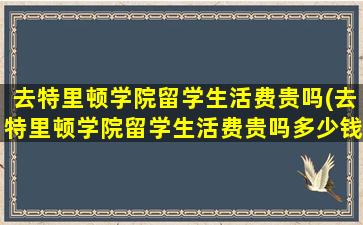 去特里顿学院留学生活费贵吗(去特里顿学院留学生活费贵吗多少钱)