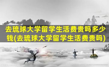 去琉球大学留学生活费贵吗多少钱(去琉球大学留学生活费贵吗)