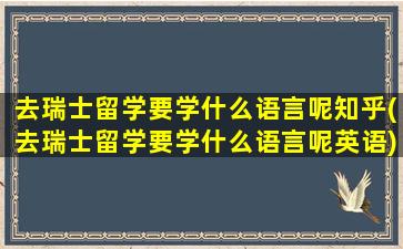 去瑞士留学要学什么语言呢知乎(去瑞士留学要学什么语言呢英语)