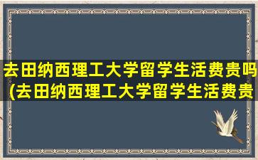 去田纳西理工大学留学生活费贵吗(去田纳西理工大学留学生活费贵吗多少钱)