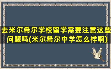 去米尔希尔学校留学需要注意这些问题吗(米尔希尔中学怎么样啊)