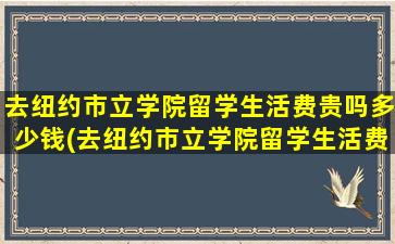 去纽约市立学院留学生活费贵吗多少钱(去纽约市立学院留学生活费贵吗)