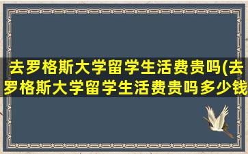 去罗格斯大学留学生活费贵吗(去罗格斯大学留学生活费贵吗多少钱)