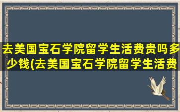 去美国宝石学院留学生活费贵吗多少钱(去美国宝石学院留学生活费贵吗)