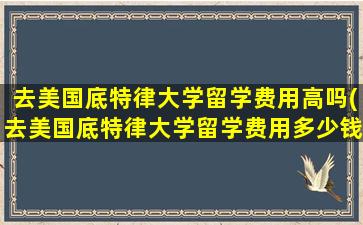 去美国底特律大学留学费用高吗(去美国底特律大学留学费用多少钱)