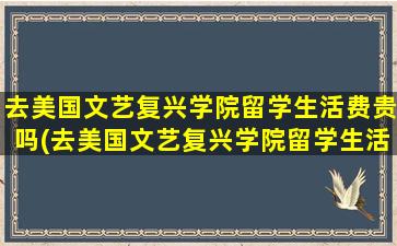 去美国文艺复兴学院留学生活费贵吗(去美国文艺复兴学院留学生活费贵吗多少钱)