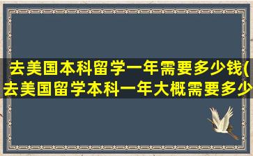 去美国本科留学一年需要多少钱(去美国留学本科一年大概需要多少钱)