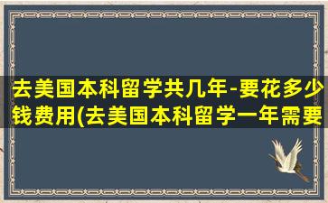 去美国本科留学共几年-要花多少钱费用(去美国本科留学一年需要多少钱)