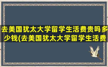 去美国犹太大学留学生活费贵吗多少钱(去美国犹太大学留学生活费贵吗现在)