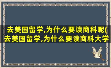 去美国留学,为什么要读商科呢(去美国留学,为什么要读商科大学)