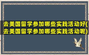 去美国留学参加哪些实践活动好(去美国留学参加哪些实践活动呢)