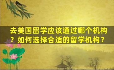 去美国留学应该通过哪个机构？如何选择合适的留学机构？