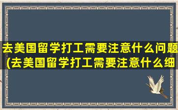 去美国留学打工需要注意什么问题(去美国留学打工需要注意什么细节)