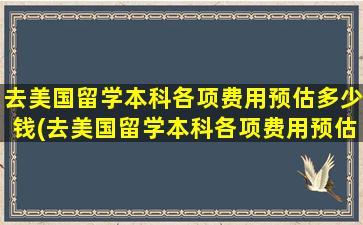 去美国留学本科各项费用预估多少钱(去美国留学本科各项费用预估)