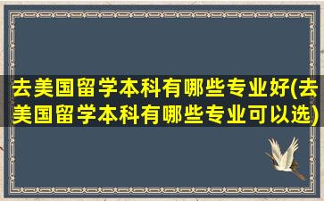 去美国留学本科有哪些专业好(去美国留学本科有哪些专业可以选)