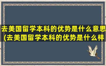 去美国留学本科的优势是什么意思(去美国留学本科的优势是什么样的)