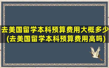 去美国留学本科预算费用大概多少(去美国留学本科预算费用高吗)