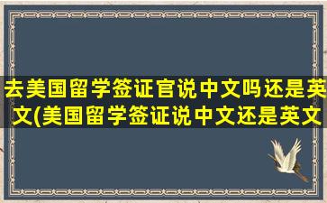 去美国留学签证官说中文吗还是英文(美国留学签证说中文还是英文)