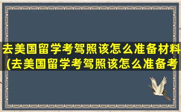 去美国留学考驾照该怎么准备材料(去美国留学考驾照该怎么准备考试)