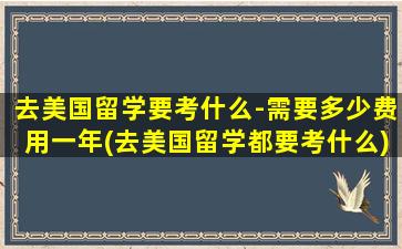 去美国留学要考什么-需要多少费用一年(去美国留学都要考什么)