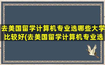 去美国留学计算机专业选哪些大学比较好(去美国留学计算机专业选哪些大学最好)