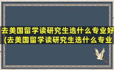 去美国留学读研究生选什么专业好(去美国留学读研究生选什么专业比较好)