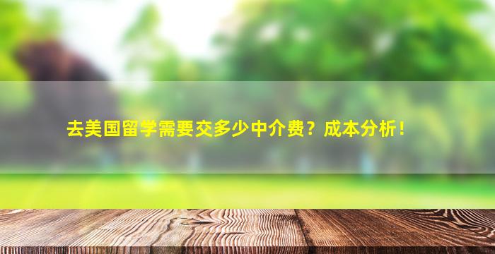 去美国留学需要交多少中介费？成本分析！