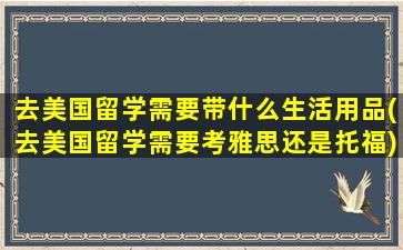 去美国留学需要带什么生活用品(去美国留学需要考雅思还是托福)