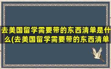 去美国留学需要带的东西清单是什么(去美国留学需要带的东西清单图片)