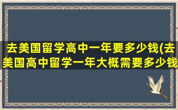 去美国留学高中一年要多少钱(去美国高中留学一年大概需要多少钱)