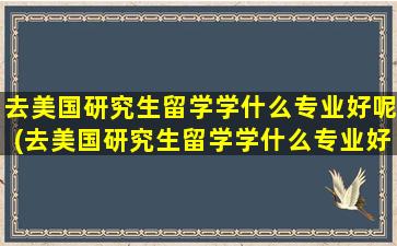 去美国研究生留学学什么专业好呢(去美国研究生留学学什么专业好一点)