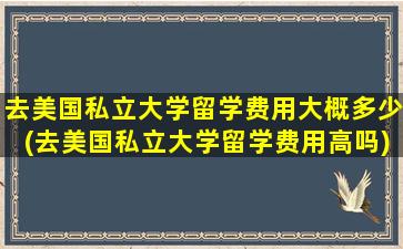 去美国私立大学留学费用大概多少(去美国私立大学留学费用高吗)