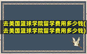 去美国篮球学院留学费用多少钱(去美国篮球学院留学费用多少钱)