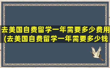 去美国自费留学一年需要多少费用(去美国自费留学一年需要多少钱费用)