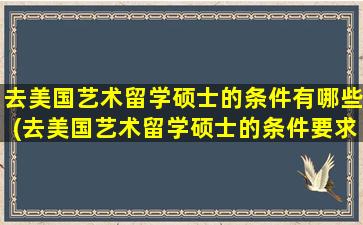 去美国艺术留学硕士的条件有哪些(去美国艺术留学硕士的条件要求)