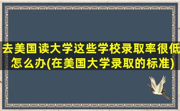 去美国读大学这些学校录取率很低怎么办(在美国大学录取的标准)