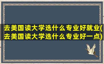 去美国读大学选什么专业好就业(去美国读大学选什么专业好一点)