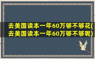 去美国读本一年60万够不够花(去美国读本一年60万够不够呢)