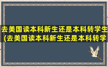 去美国读本科新生还是本科转学生(去美国读本科新生还是本科转学生好)