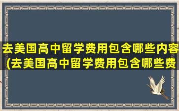 去美国高中留学费用包含哪些内容(去美国高中留学费用包含哪些费用呢)