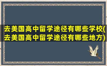 去美国高中留学途径有哪些学校(去美国高中留学途径有哪些地方)