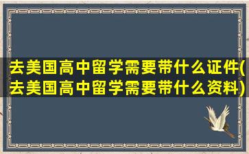 去美国高中留学需要带什么证件(去美国高中留学需要带什么资料)