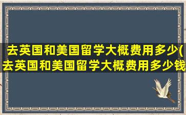 去英国和美国留学大概费用多少(去英国和美国留学大概费用多少钱)