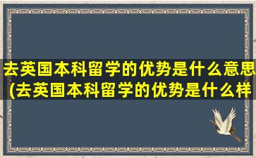 去英国本科留学的优势是什么意思(去英国本科留学的优势是什么样的)